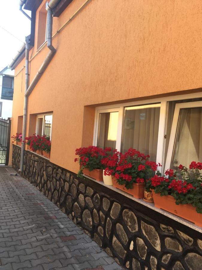 Casa Bis Apartment Sibiu Luaran gambar